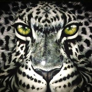 Meet your Posher, Wayne